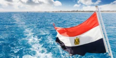 أفضل الأماكن للغوص في البحر الأحمر: عالم سحري تحت الماء